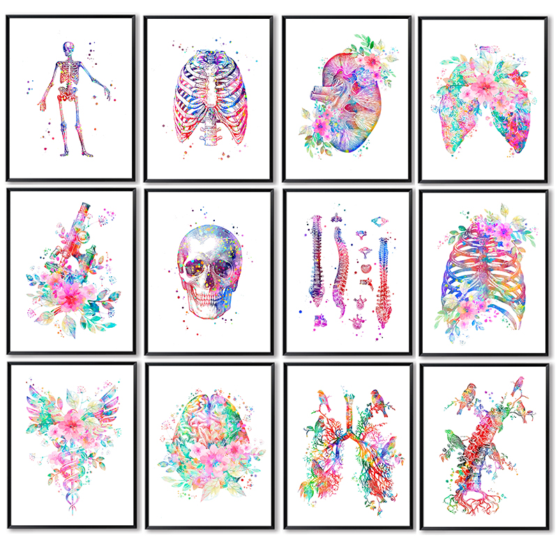 Anatomy Medical Poster Flower  - Medical Lab Posters ulasan dan harga