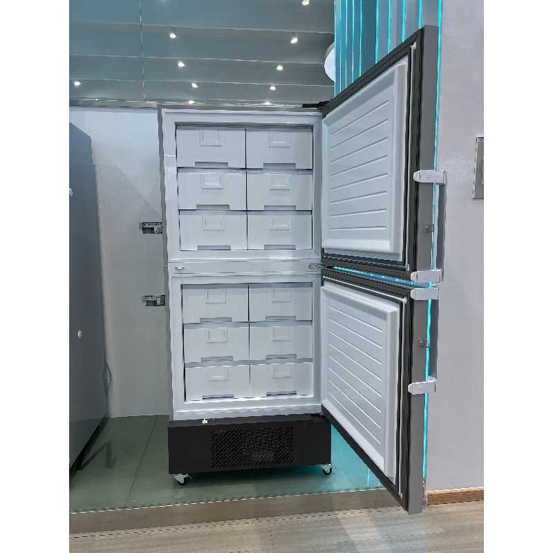 Vertical deep freezer - 25 deg - Medical Lab Degree ulasan dan harga
