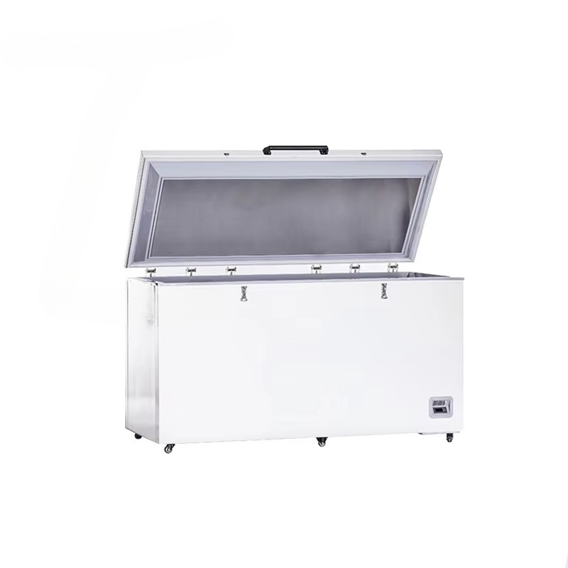 Freezer - 40 degrees Celsius l - Medical Lab Degree ulasan dan harga