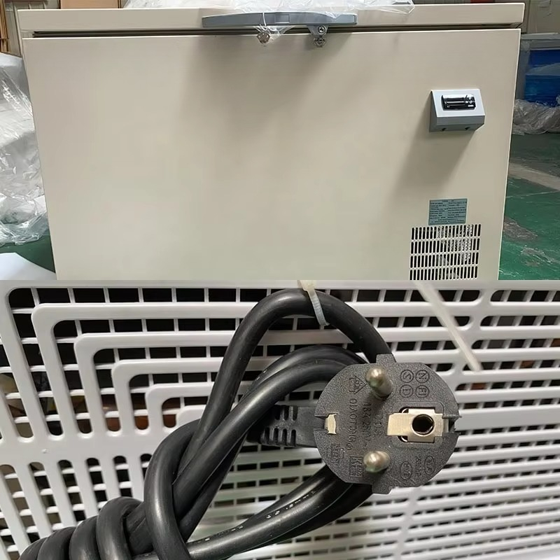 Freezer - 40 degrees Celsius l - Medical Lab Degree ulasan dan harga