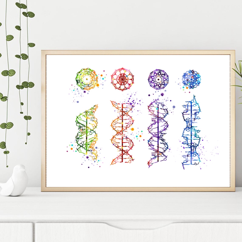DNA Molecule Print Modern Medi - Medical Lab Posters ulasan dan harga