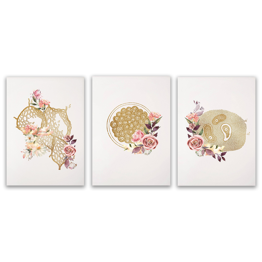 Microbiologist lab technician  - Medical Lab Posters ulasan dan harga