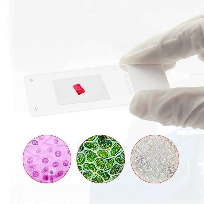 Citotest 50PCS Adhesive Slides - Pathology Slide Storage ulasan dan harga